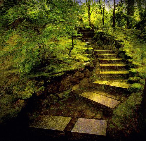 Forest Steps, Japan