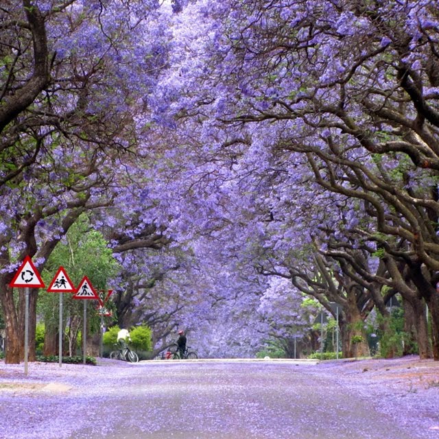 Marais Street, Pretoria, South Africa